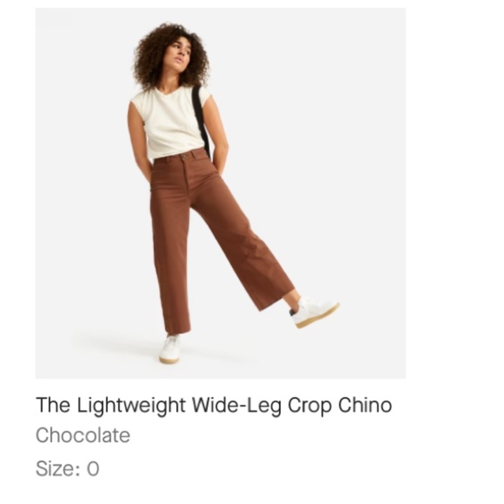 Everlane Lightweight Wide Leg Cropped Chino